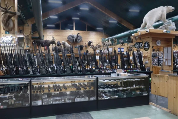 Interior of Midwestern Shooter's Supply gun store with display cases of ammunition and reloading supplies, wall-mounted rifles with animal trophy mounts above, and a polar bear figure on a pipe.